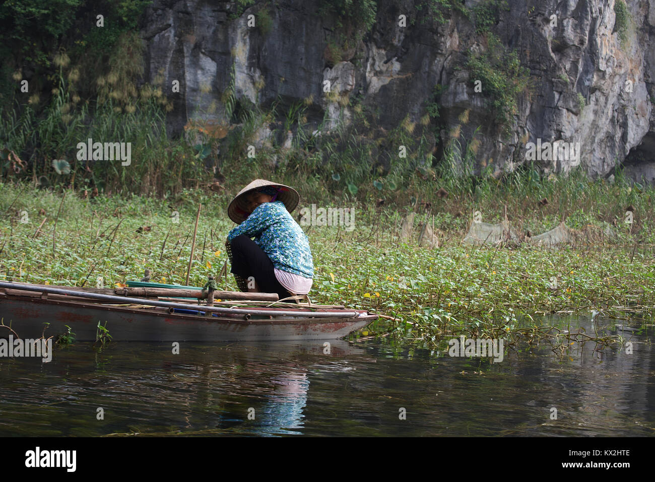 Vietnamese rice fields worker woman,  Vietnam. Stock Photo