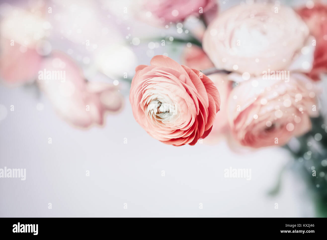 Pastel floral hi-res stock photography and images - Alamy