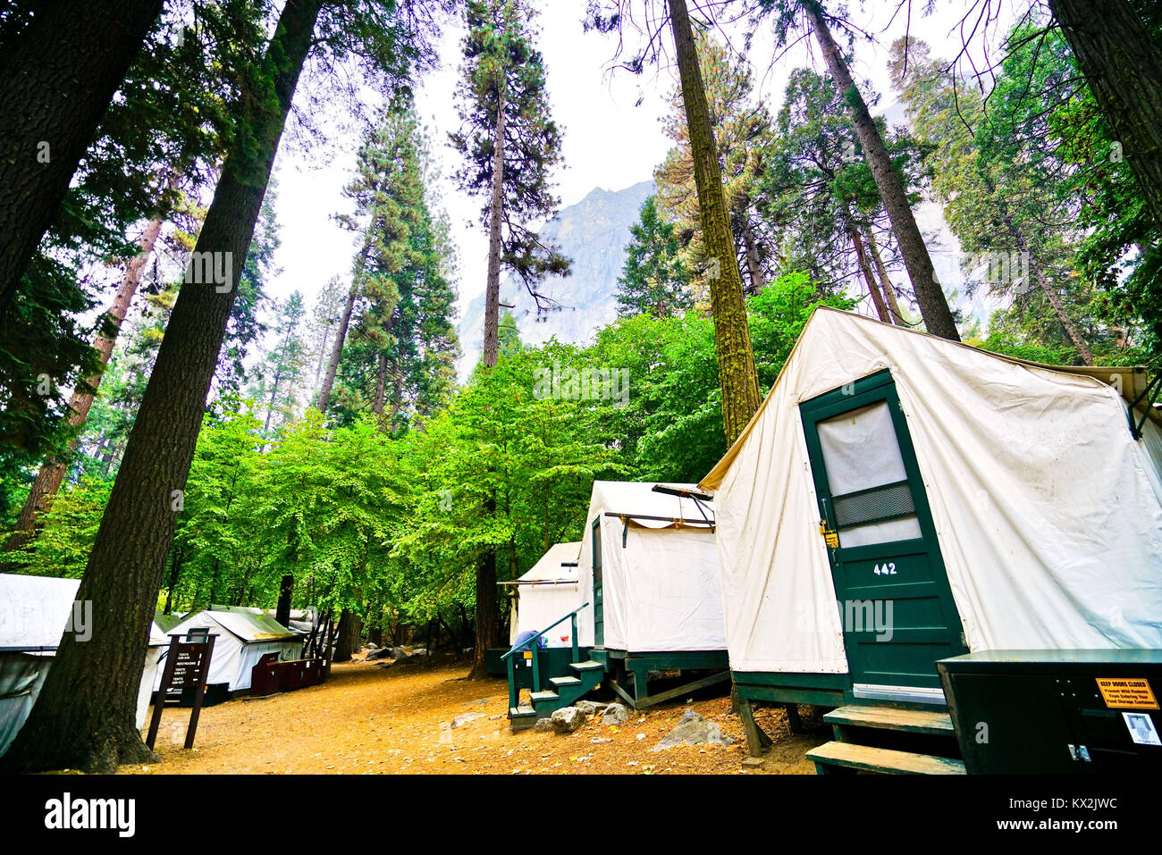 Yosemite National Park Usa October 11 2017 View Of The Canvas