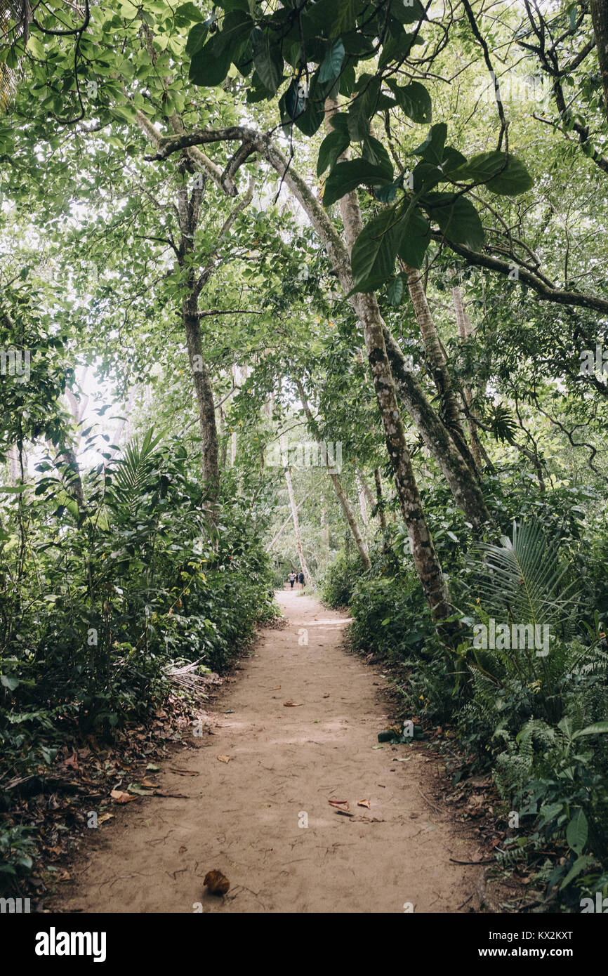 Sandy hiking trail at Cahuita National Park, Cahuita, Limón, Costa Rica. Stock Photo