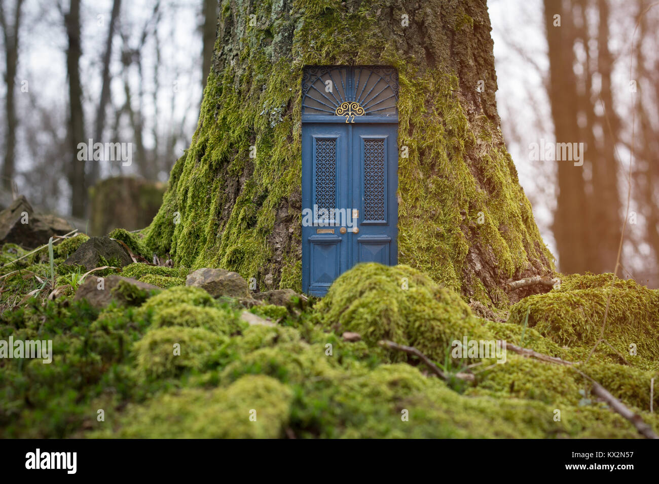 House inside tree trunk hi-res stock photography and images - Alamy