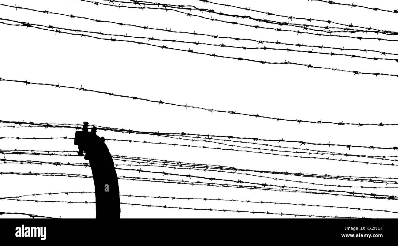 barbed wire of the prison camp with black and white effect Stock Photo ...