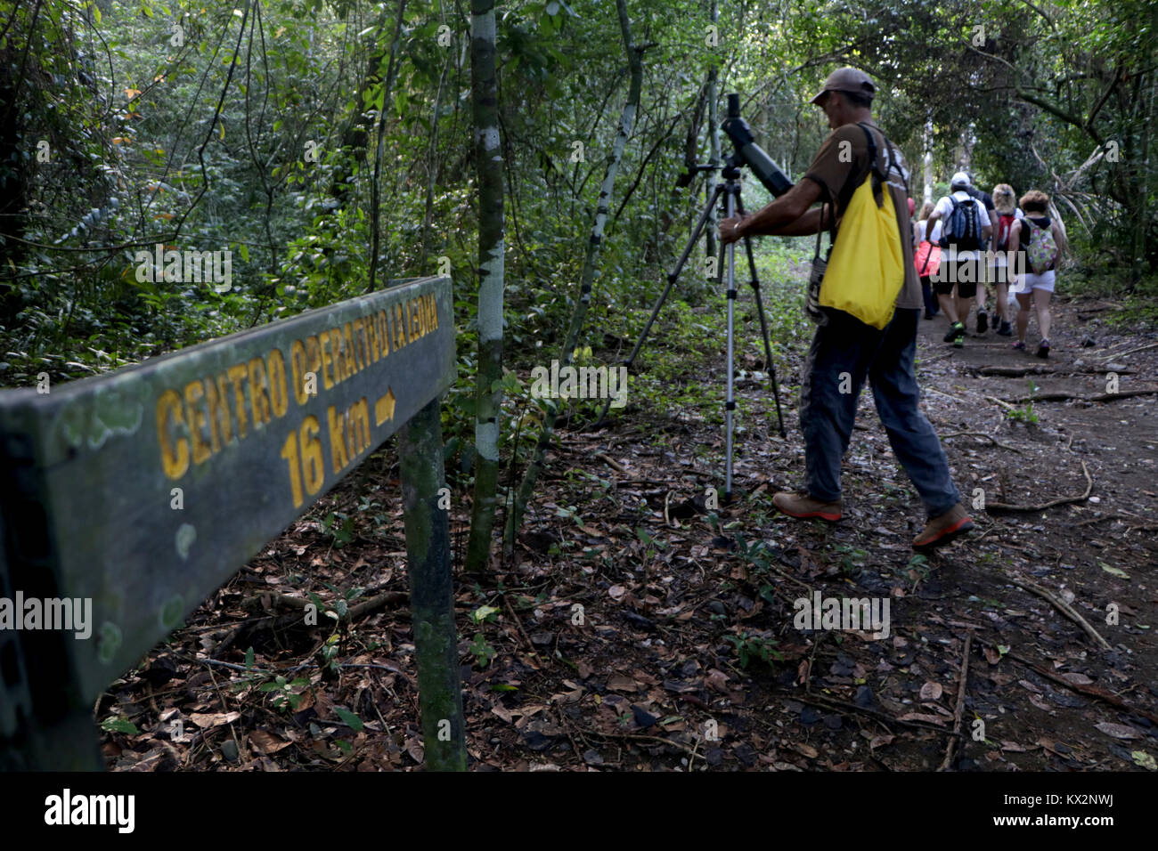 Hiker on trail Corcovado national Park Osa Peninsula Costa Rica in primary rain forest. Tropical Jungle tree Stock Photo