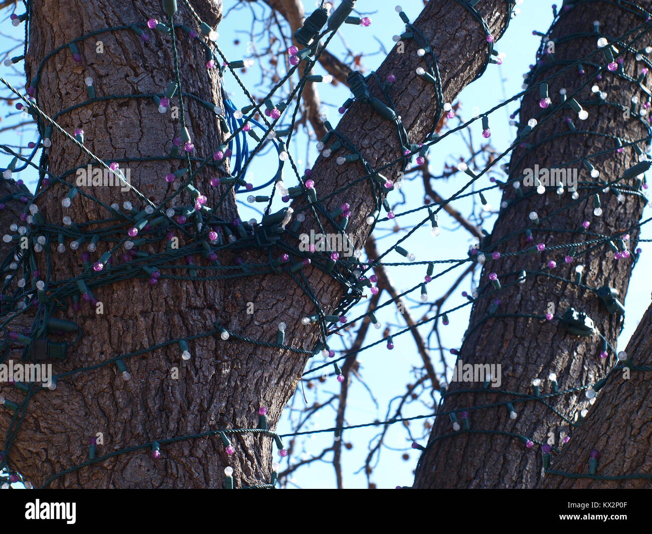 Christmas Lights Come Down In Garland's Stock Photo Alamy