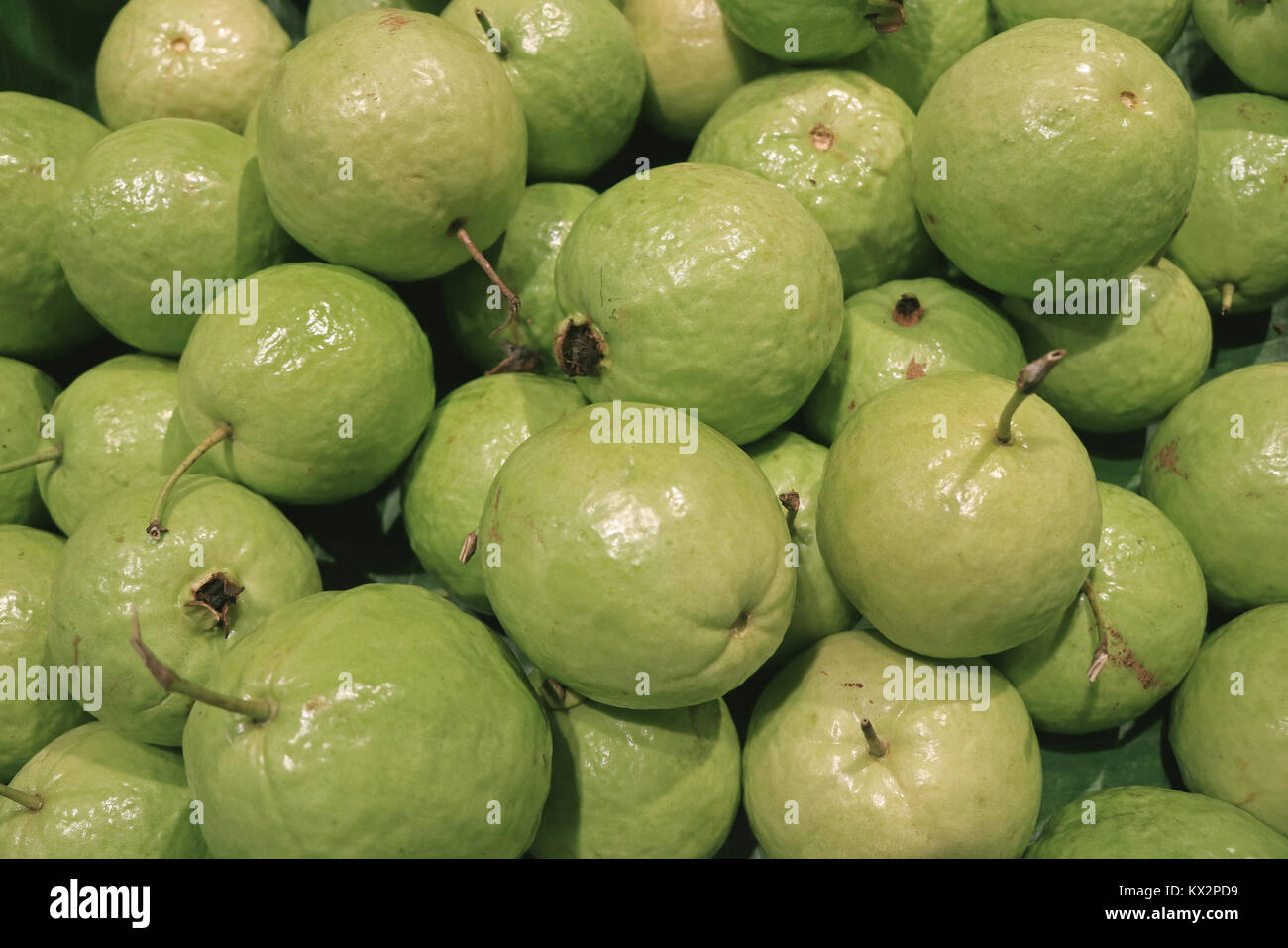 Pile Of Light Green Fresh Guava Testy And Healthy Tropical Fruits Thailand Stock Photo Alamy