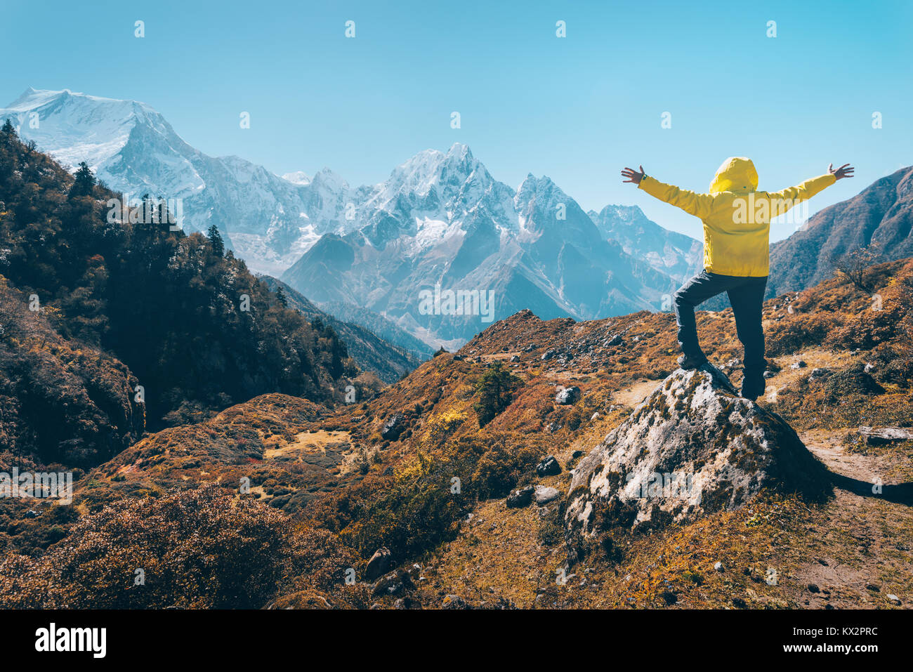 Standing man with raised up arms on the stone and looking on snow covered mountains. Landscape with traveler, high rocks with snowy peaks, grass, tree Stock Photo