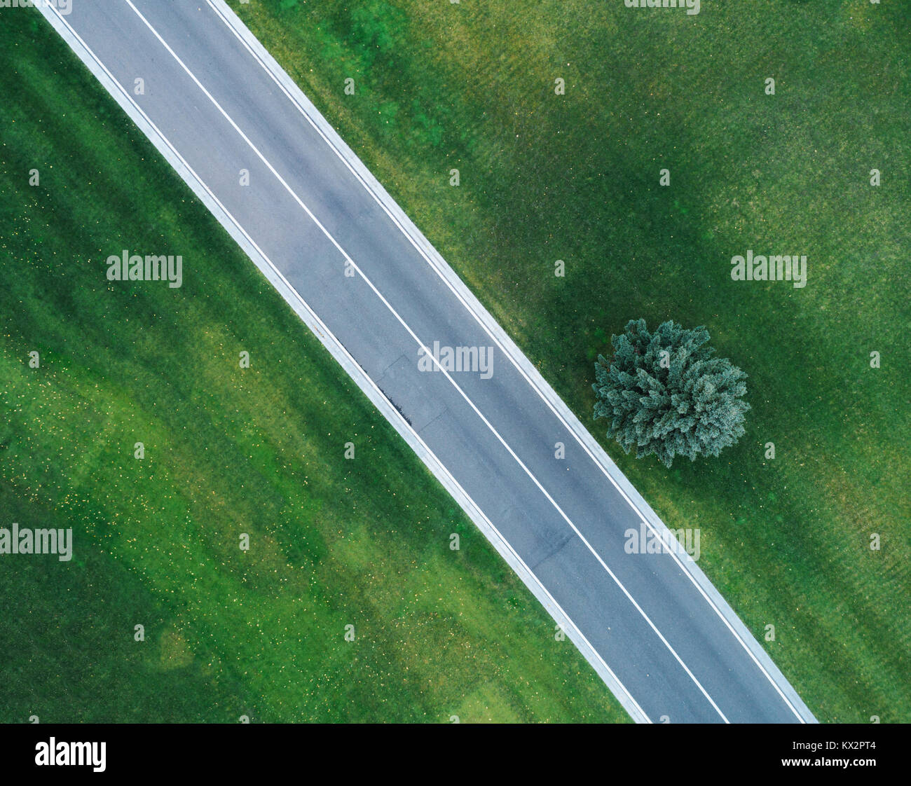 Aerial view of road through beautiful green field in the evening in spring. Beautiful landscape with empty rural road, trees, green grass. Highway thr Stock Photo