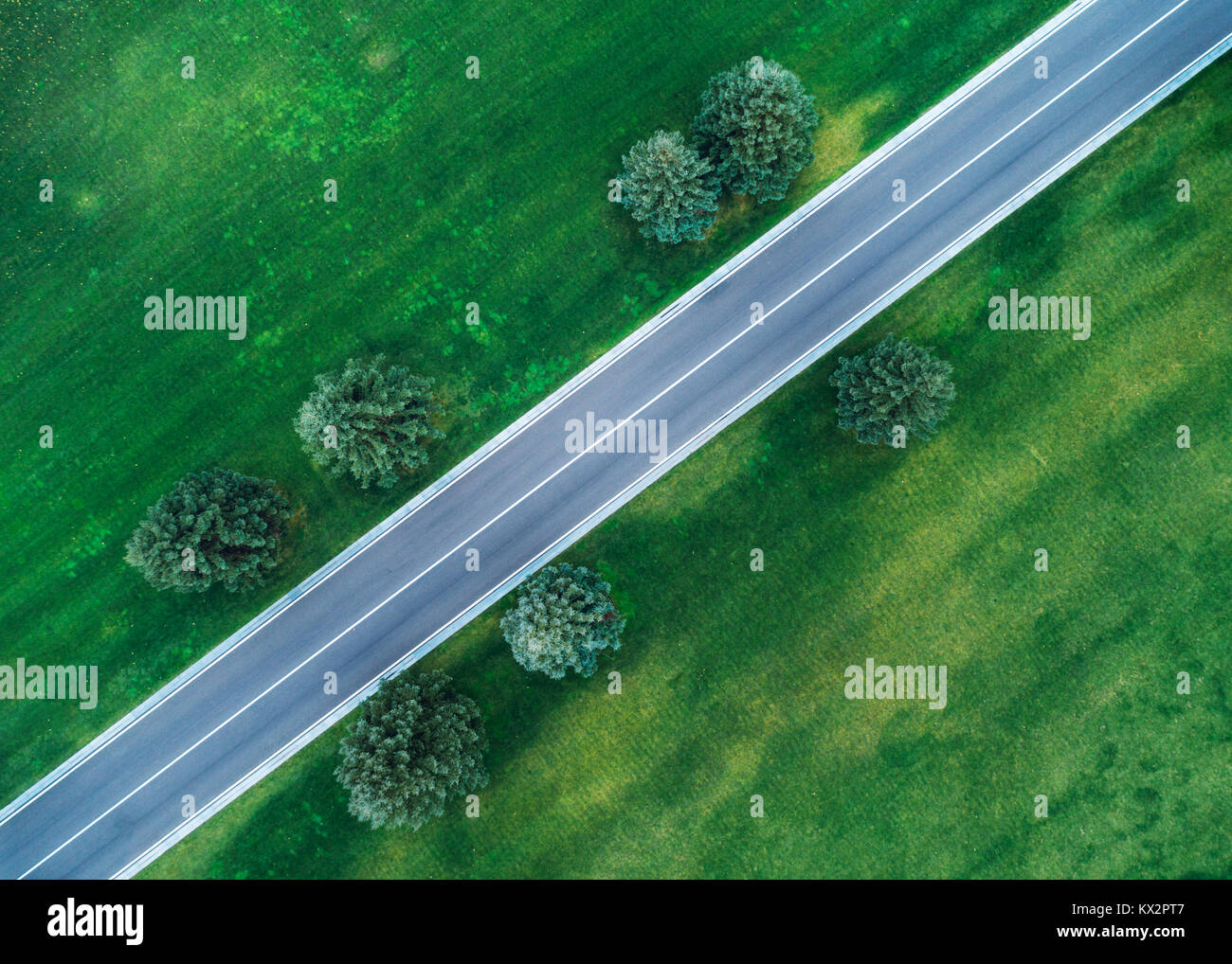 Aerial view of road through beautiful green field in the evening in spring. Beautiful landscape with empty rural road, trees, green grass. Highway thr Stock Photo