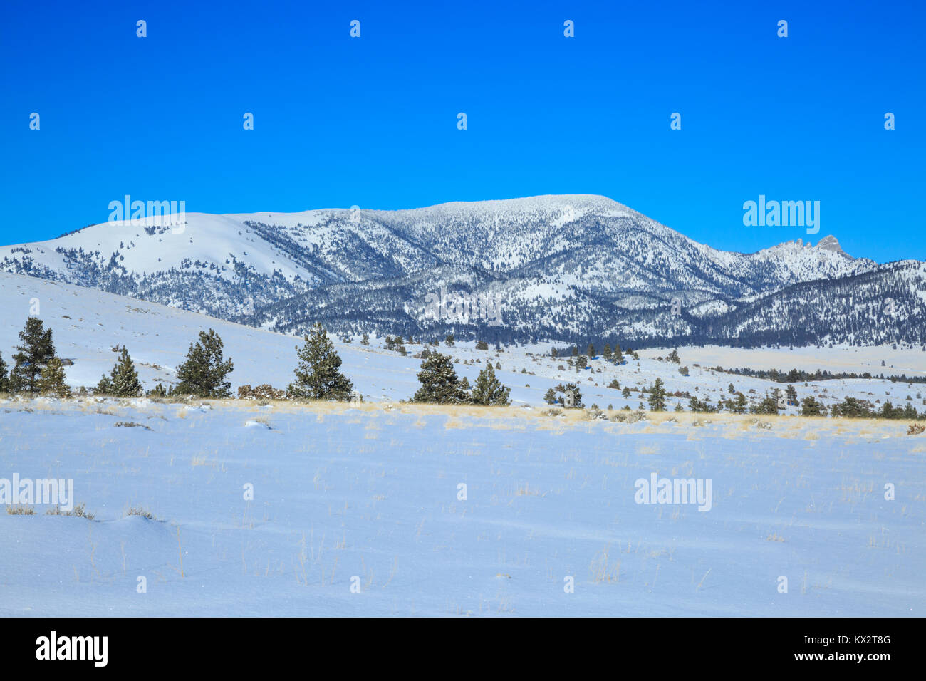 sleeping giant mountain in winter near helena, montana Stock Photo - Alamy