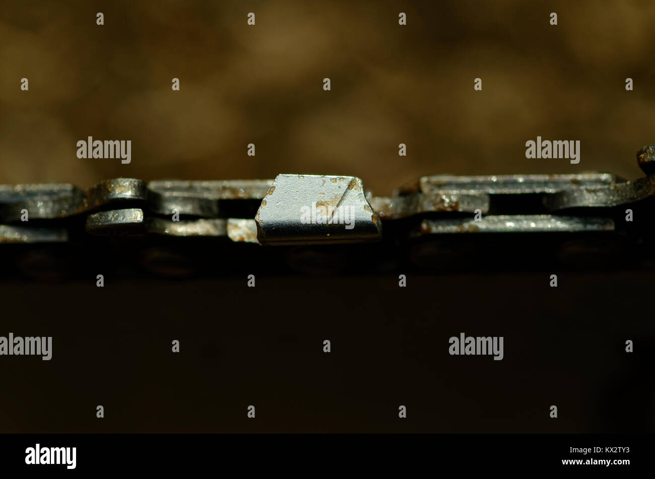 Chainsaw cutting tooth Stock Photo Alamy