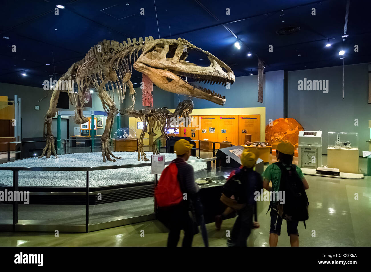 NAGOYA, JAPAN - NOVEMBER 18, 2015: Dinosaur skeletons displayed at the first floor of Nagoya City Science Museum, the exhibition room is one of the mo Stock Photo