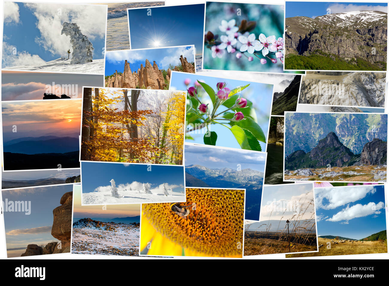 Collage of various nature photos in different seasons Stock Photo