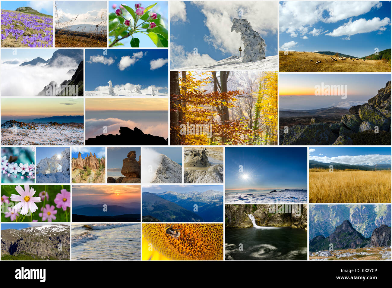 Collage of various nature photos in different seasons Stock Photo