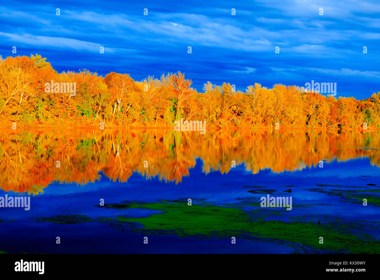 Fall landscape with the forest lake Stock Photo - Alamy