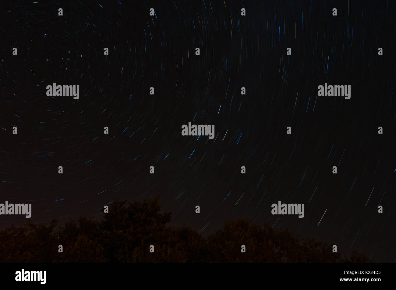 Star trails and blurred treetops Stock Photo
