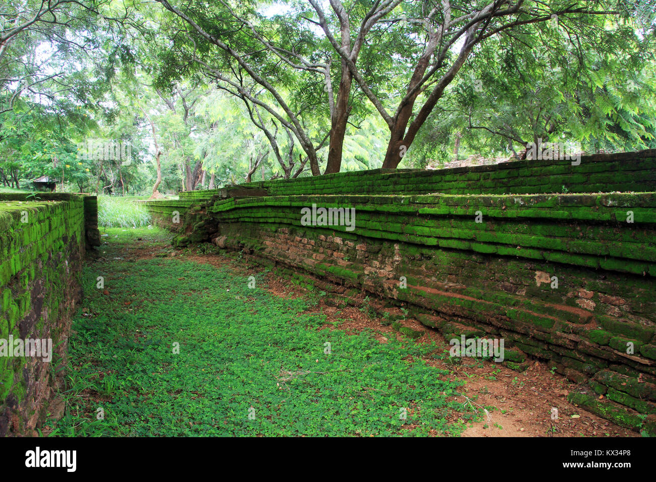 Green brick walls in Polonnaruwa, Sri Lanka Stock Photo Alamy
