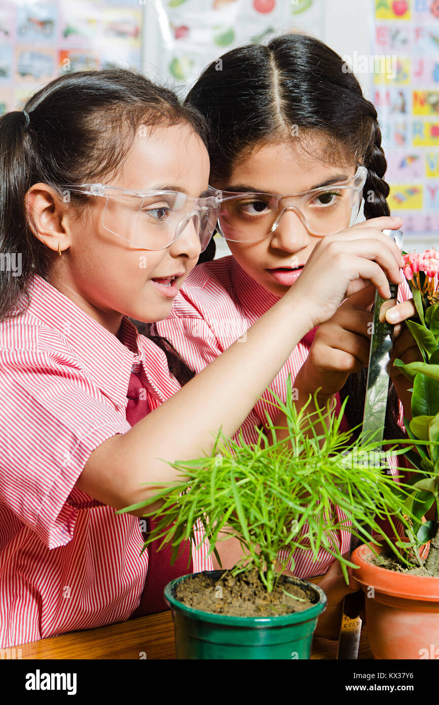 School Kids Students Ruler Measuring Plant Checking Environment Growth Classroom Stock Photo