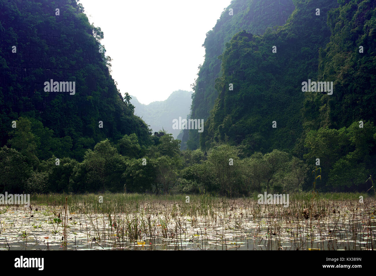 Landscape from Tam Coc, Vietnam Stock Photo