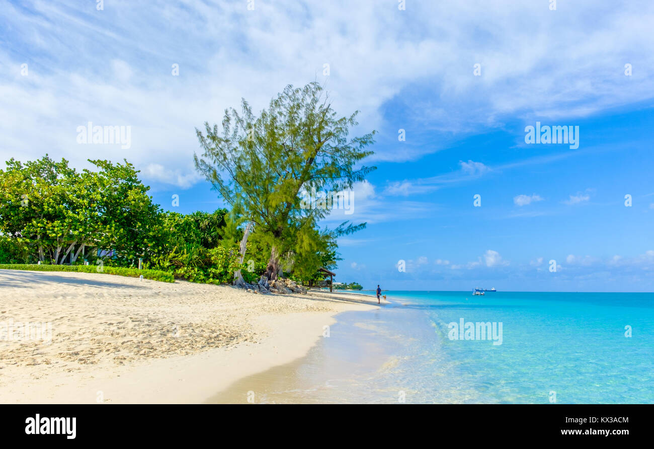 Seven Mile Beach in the Caribbean, Grand Cayman, Cayman Islands Stock Photo Alamy