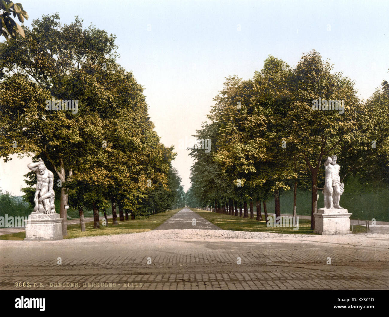 Grosser Garten Dresden Stock Photos Grosser Garten Dresden Stock