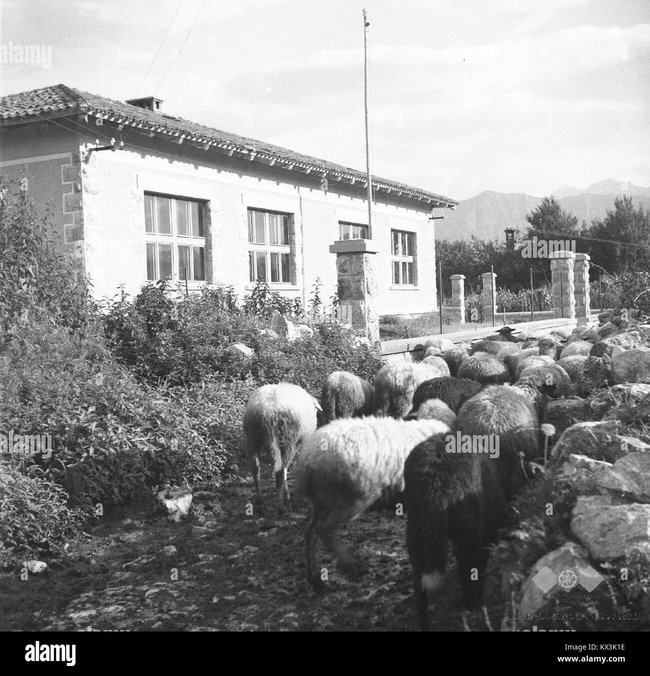 Rural pastoral landscape Black and White Stock Photos & Images - Alamy