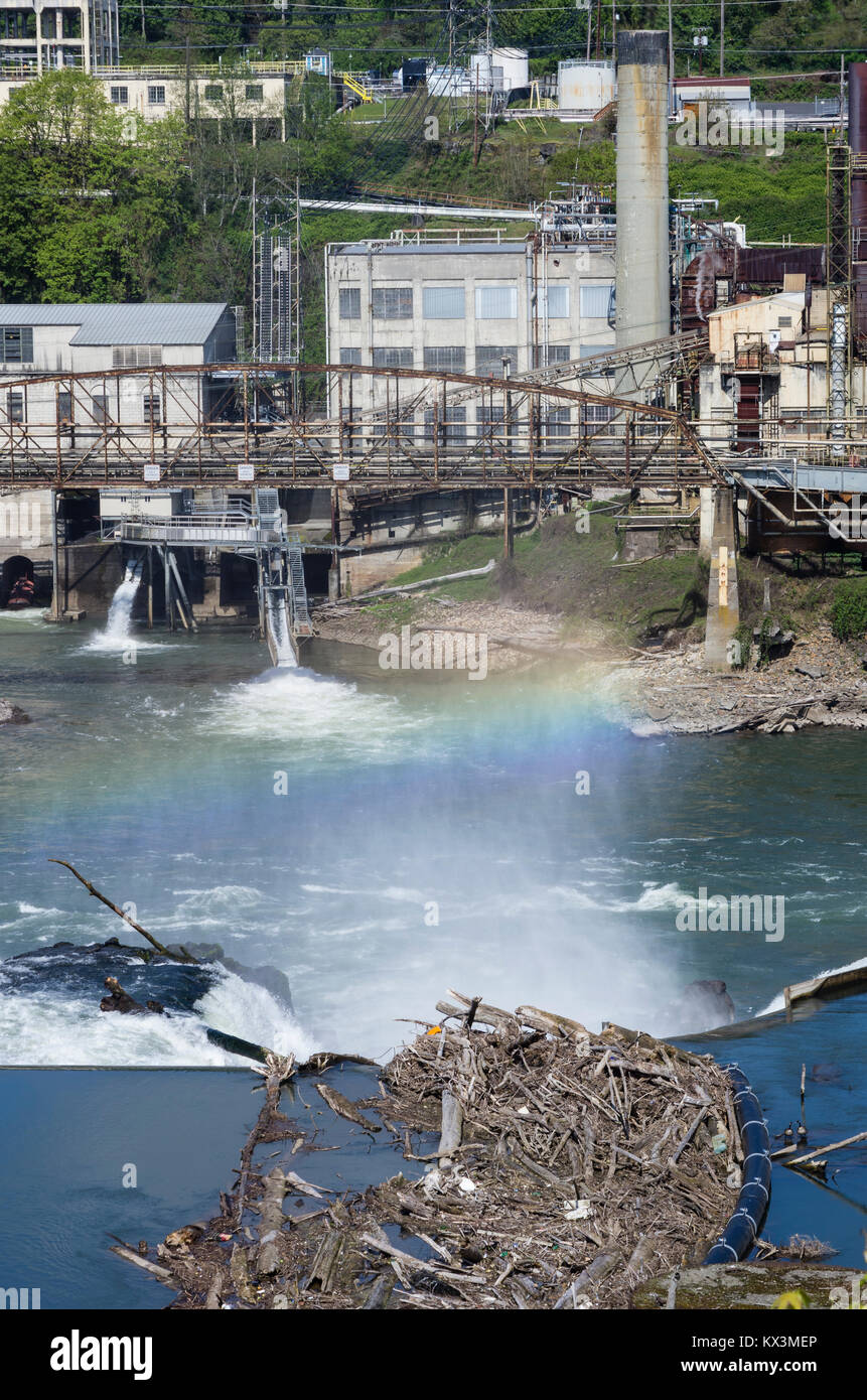Site of the former Blue Heron Paper Mill at the Willamette Falls