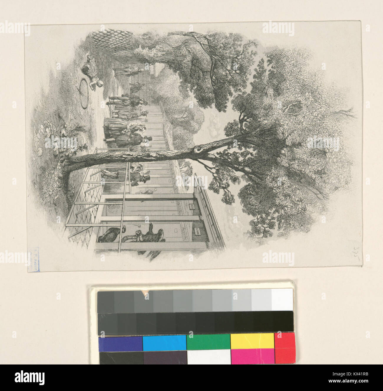 This illustration, titled 'The Aviaries of Birds of Prey,' depicts the ...