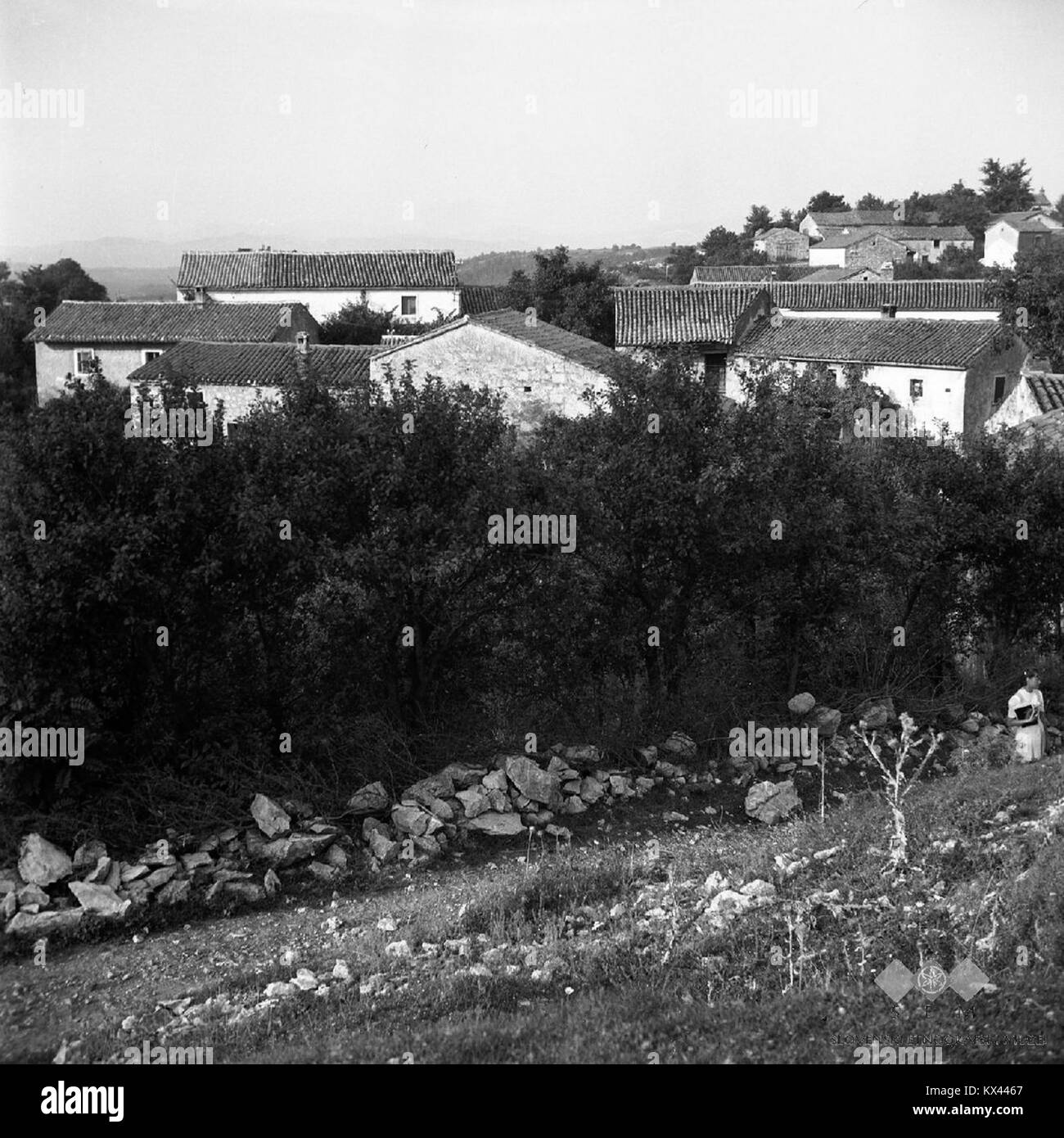 Del vasi Račice 1955 Stock Photo