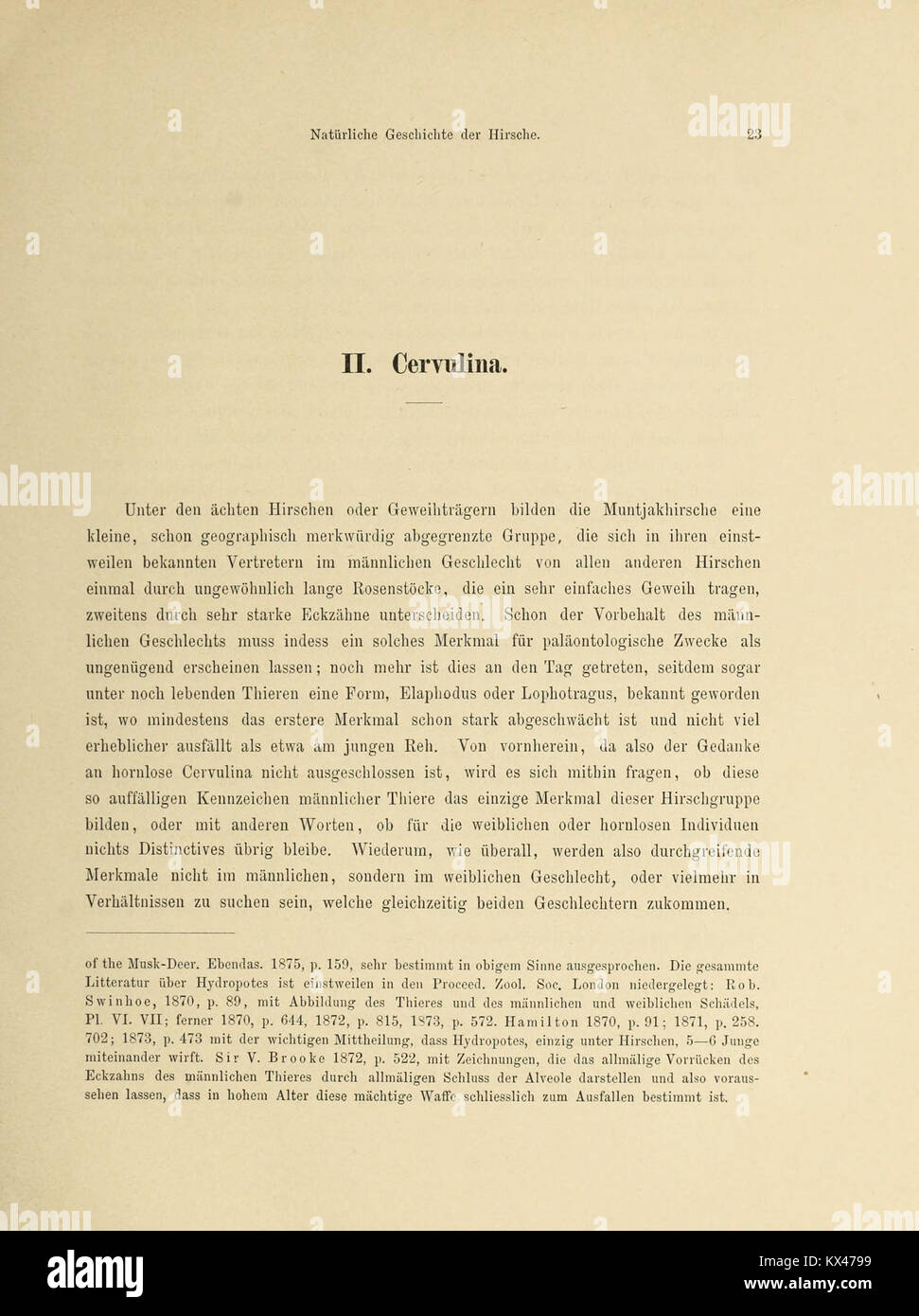 Beiträge zu einer natürlichen Geschichte der Hirsche (Page 23) BHL47312638 Stock Photo