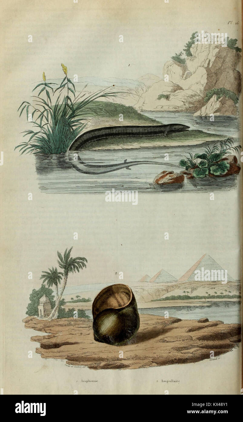 Illustrated dictionary hi-res stock photography and images - Alamy