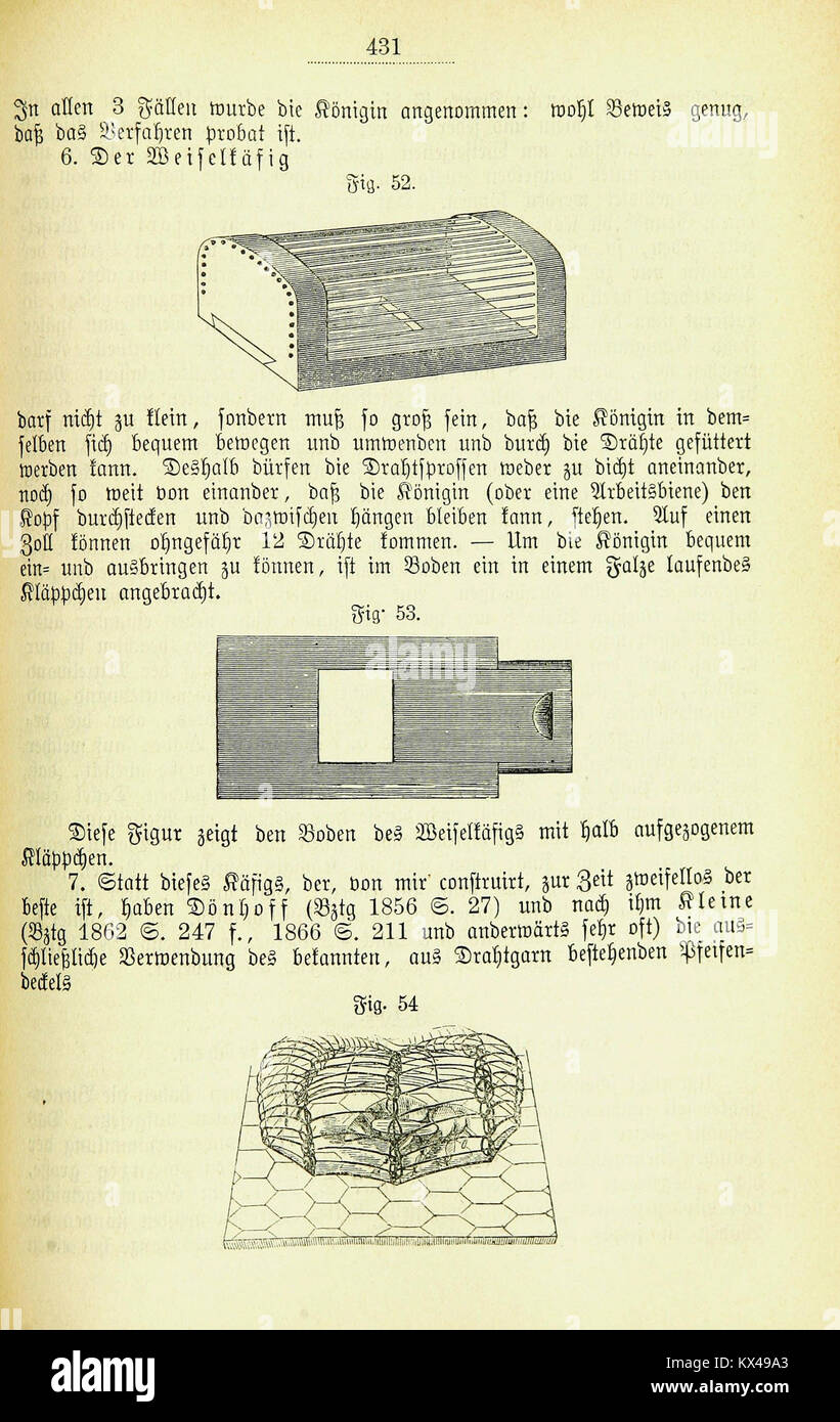 Die Biene und ihre Zucht mit beweglichen Waben in Gegenden ohne Spätsommertracht (Page 431) BHL42031185 Stock Photo