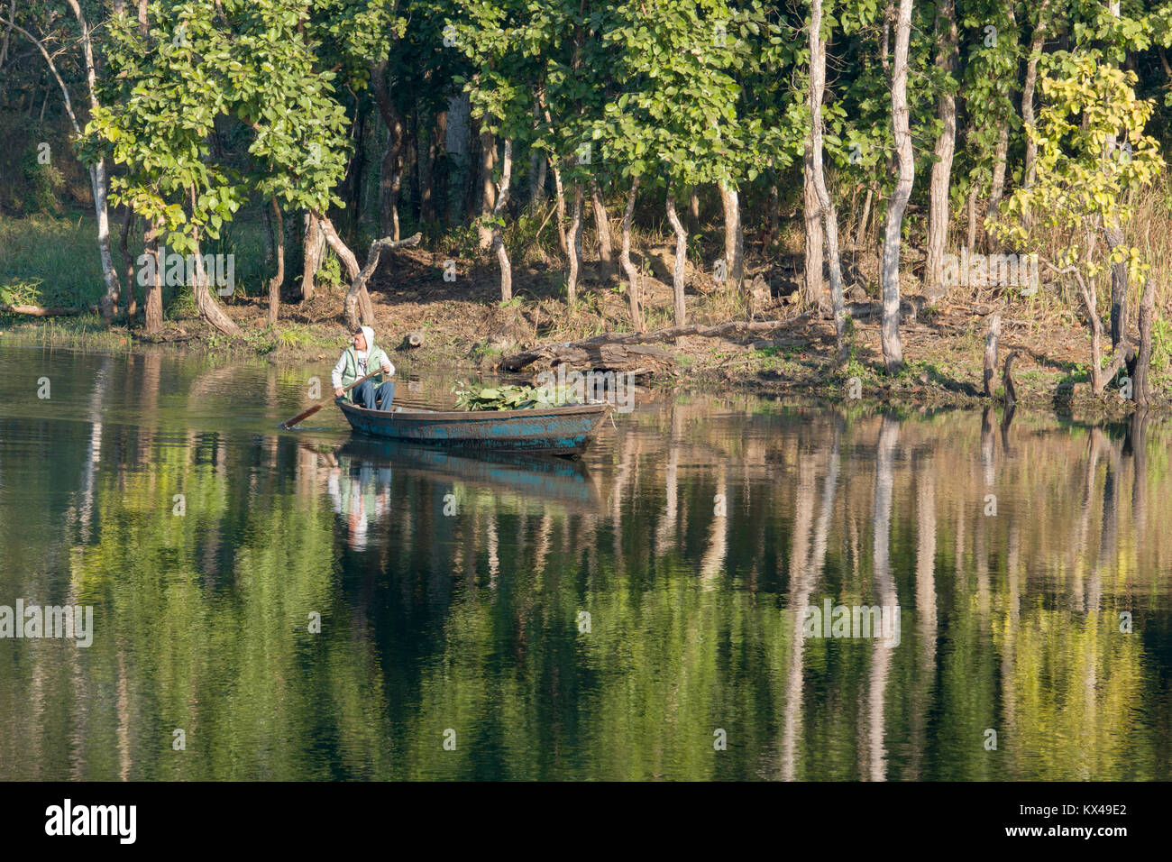 Man paddling wooden canoe on Bis Hazari lake in the Chitwan National Park buffer zone, Nepal