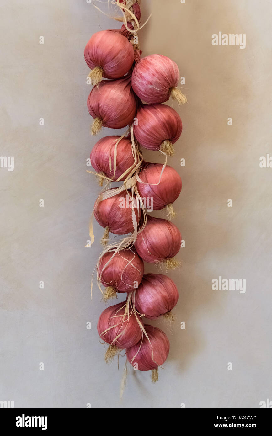 braided red onions hanging on the wall Stock Photo