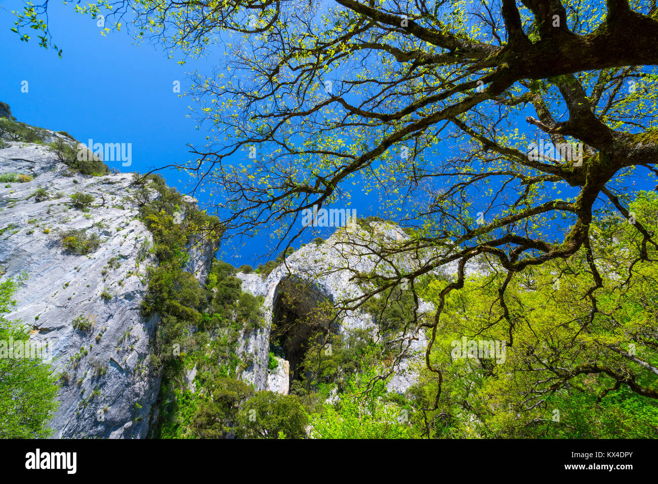 Leze Cave, Hoya de La Leze, Alava, Basque Country, Spain, Europe Stock ...
