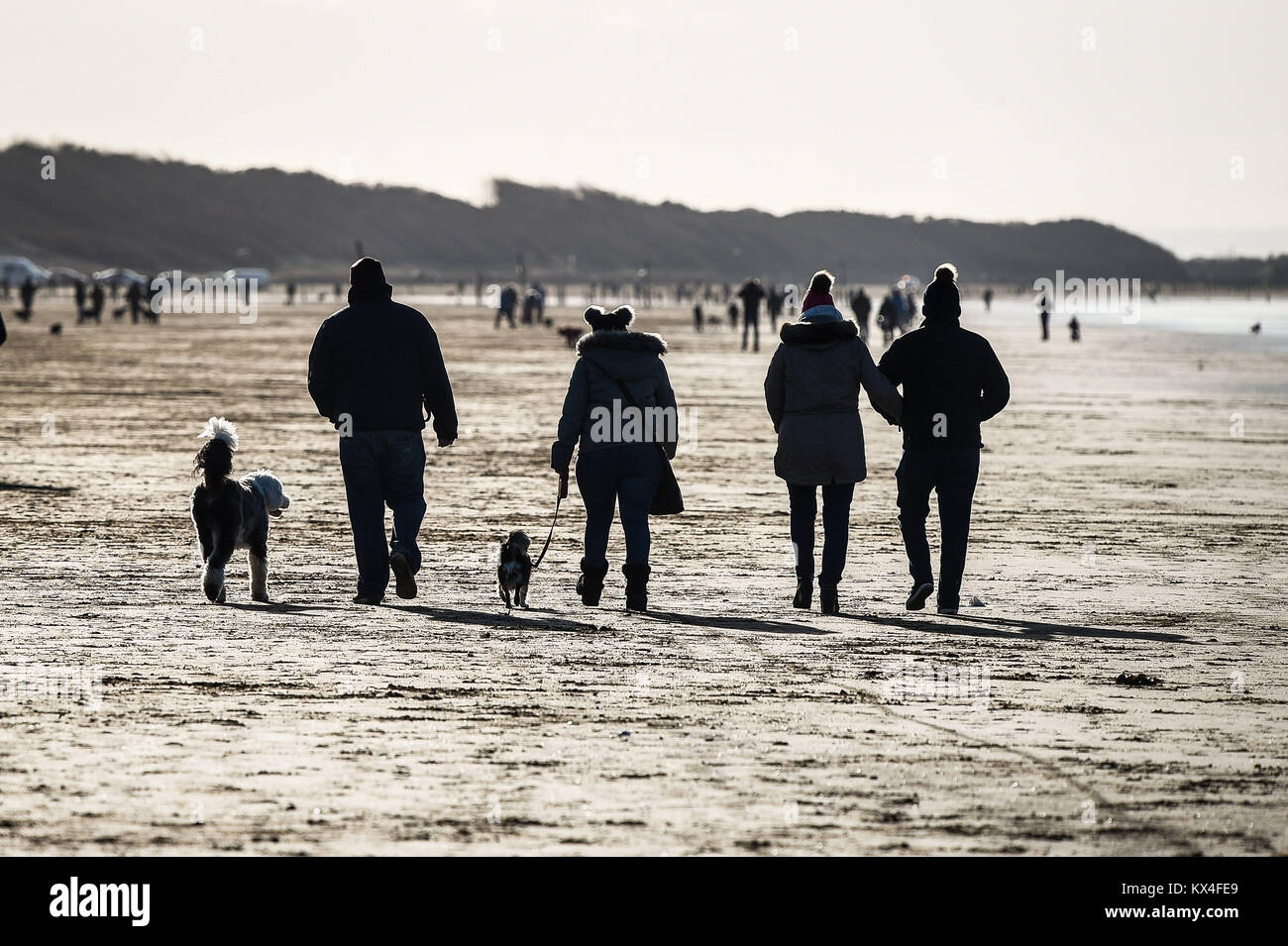 Dogs walkers on WestonsuperMare Beach, Somerset, as temperatures