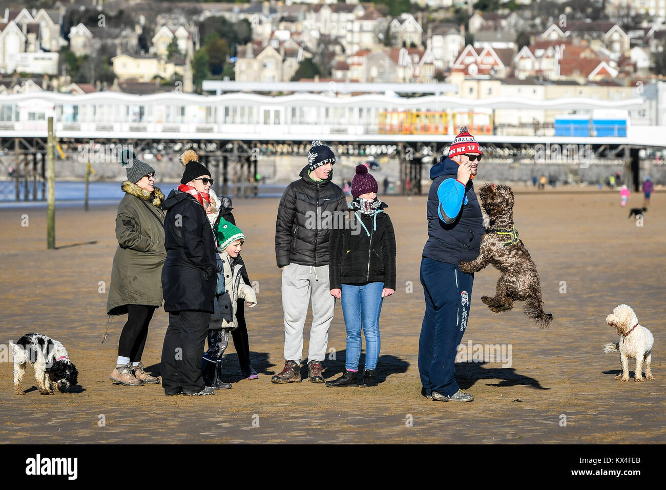Dog walkers play with their pets on Weston-super-Mare Beach, Somerset, as temperatures plummet across the UK. Stock Photo