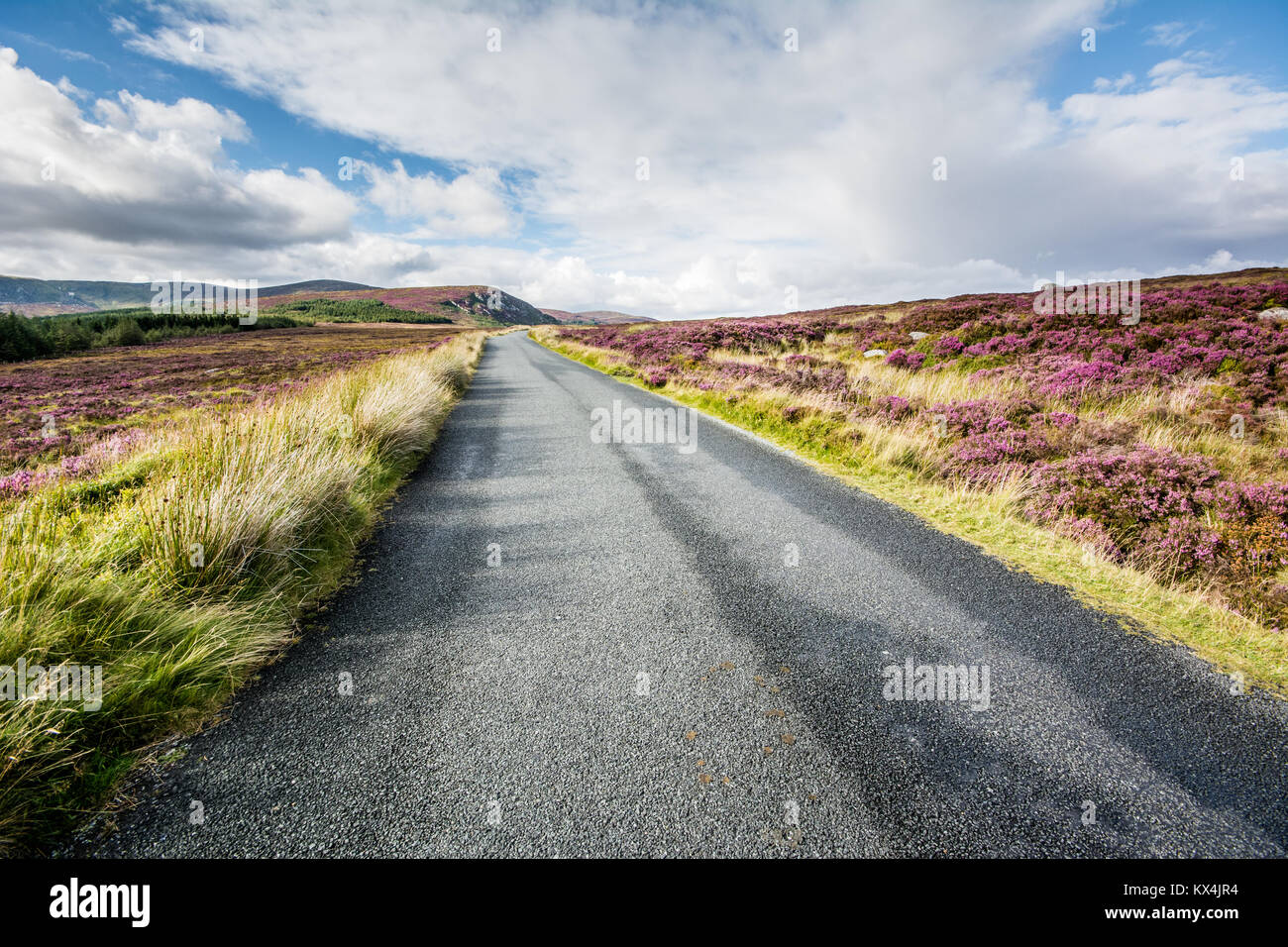 Wide Open 'Military Road' through the Wicklow Mountains National Park in Late Summer in Ireland Stock Photo
