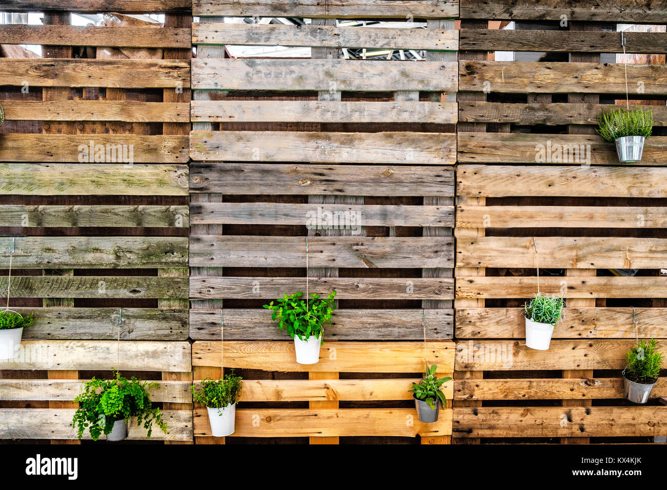green thumb background copy space pallets wooden texture Stock Photo