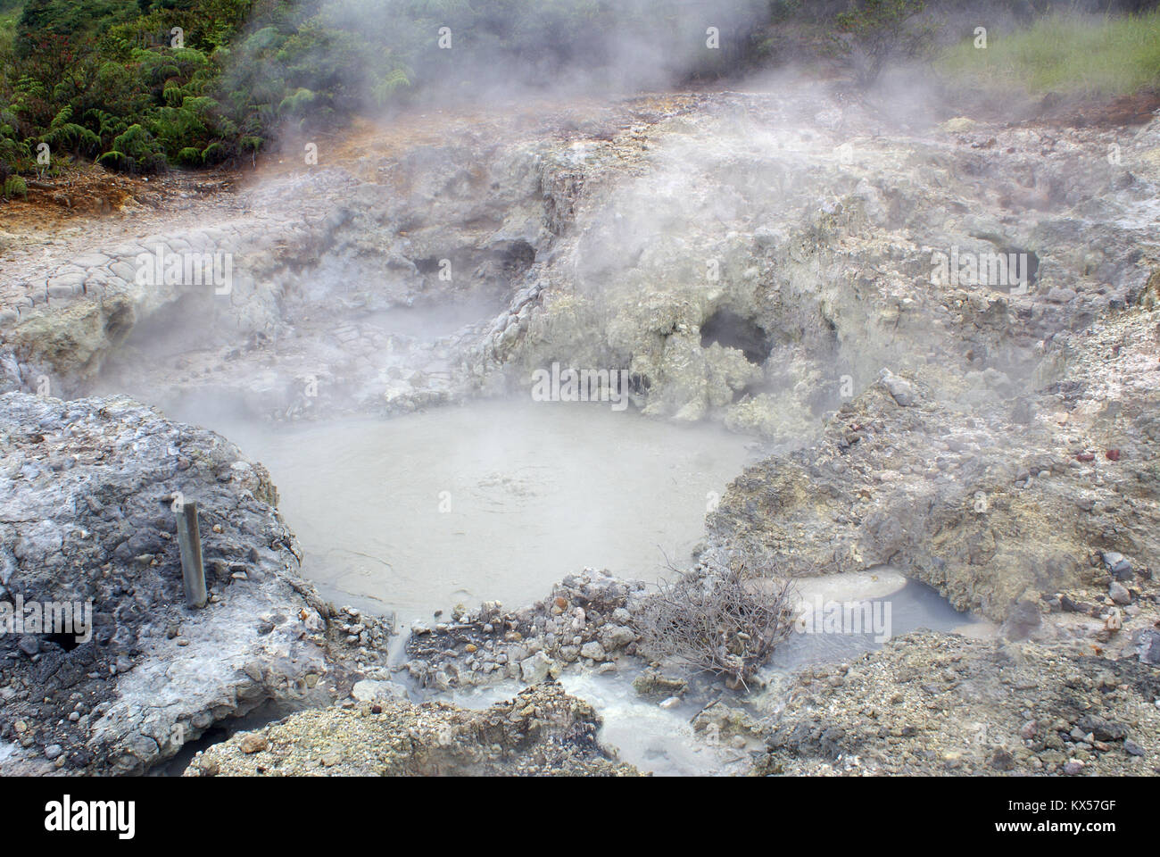 Mud pool in Kawah Sikidang, plateau Dieng, Java Stock Photo