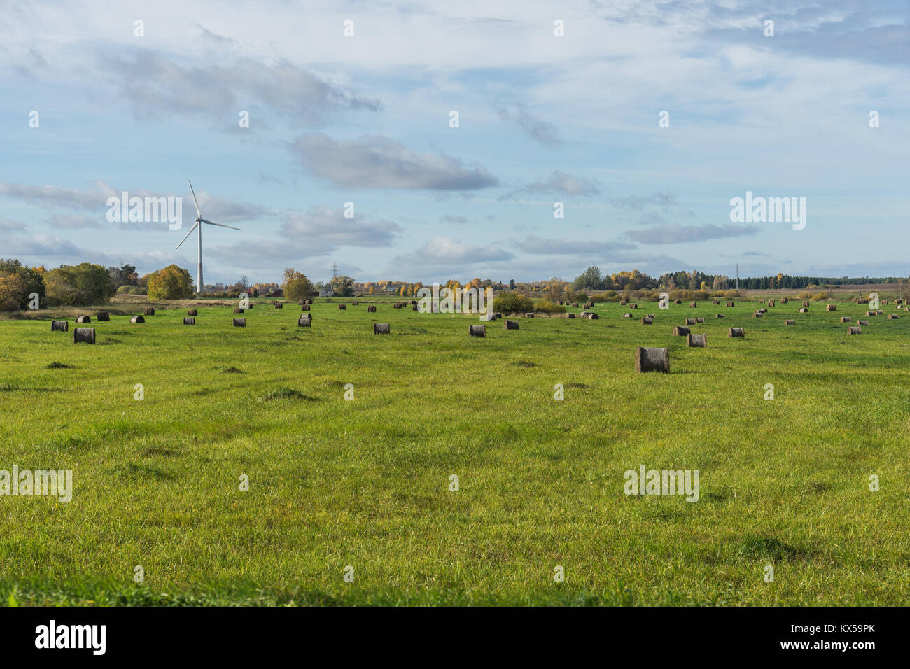 Landscape with straw bales Stock Photo - Alamy