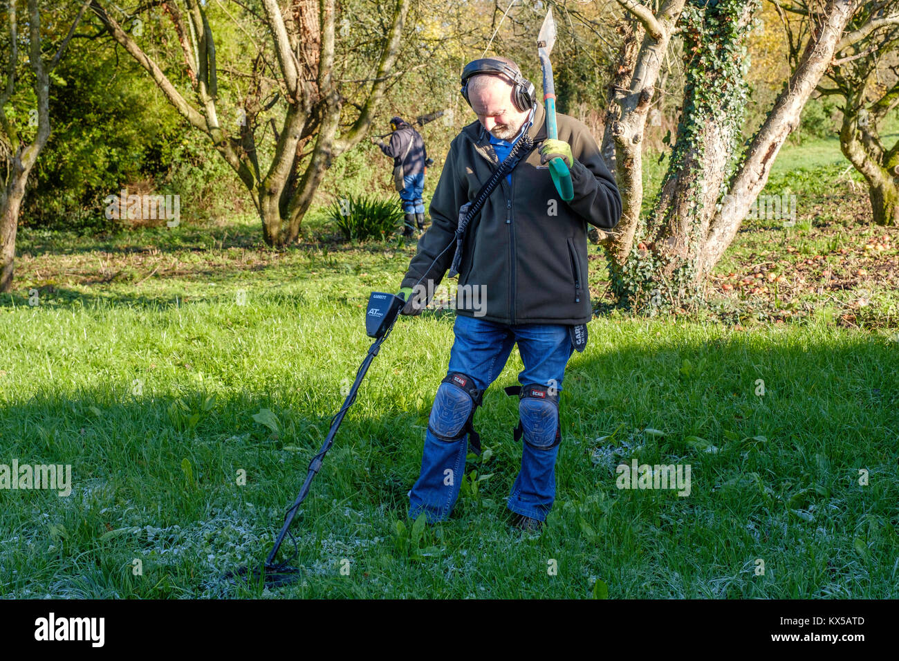 METAL DETECTING IN OLD ORCHARD. UK Stock Photo