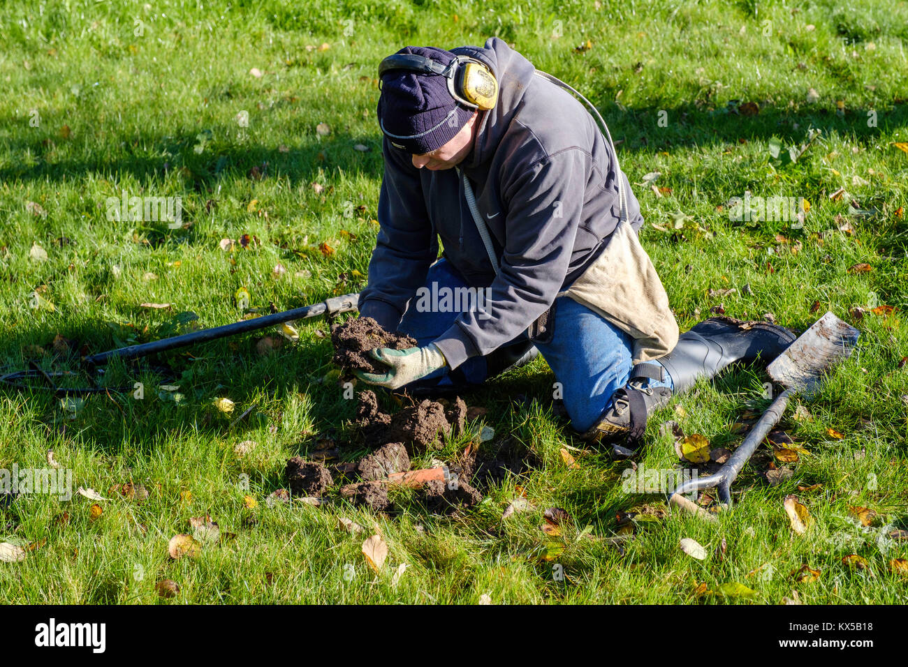 MAN KNEELING TO EXAMINE FIND WHILE METAL DETECTING IN OLD ORCHARD. UK Stock Photo