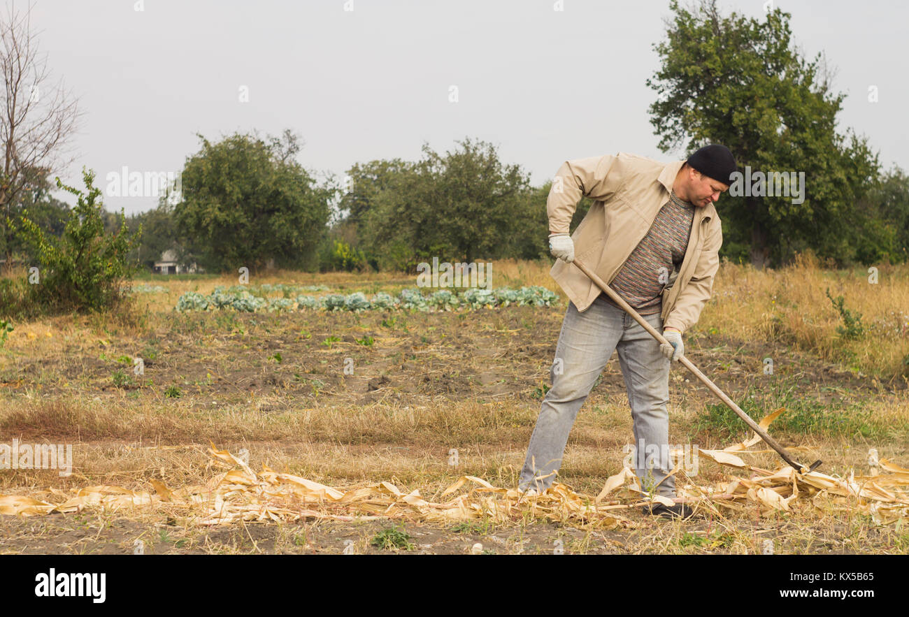 Farmers Raking Tillage rake hi-res stock photography and images - Alamy