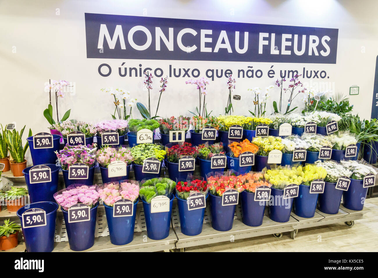 Lisbon Portugal,Sao Sebastiao,El Corte Ingles,megastore,department store,Monceau Fleurs,floral market,florist,plants,flowers,stand,display sale Hispan Stock Photo