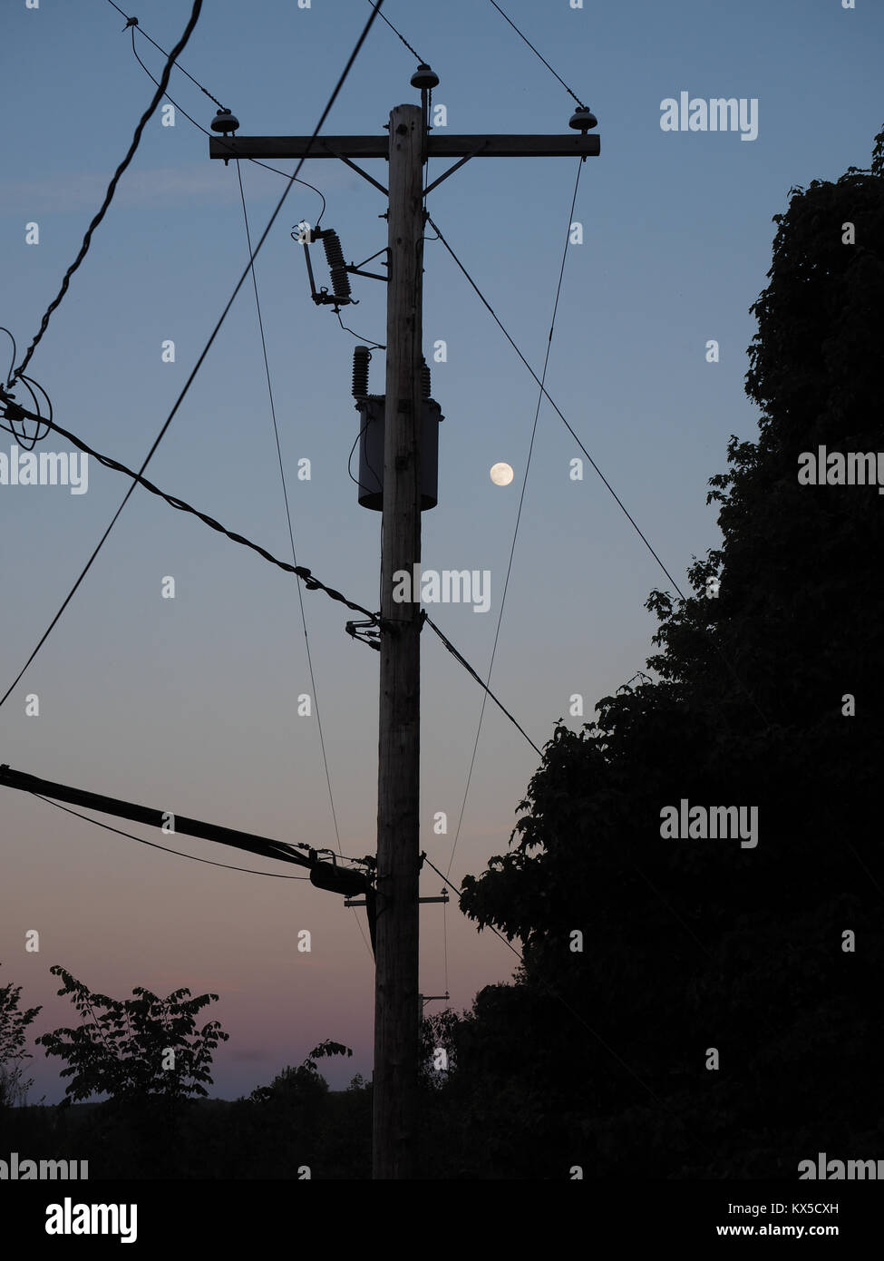 Utility poles in the evening Stock Photo