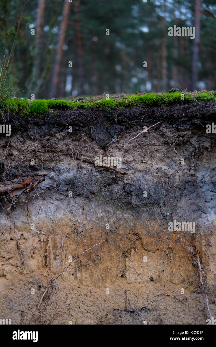 Soil profile layers hires stock photography and images Alamy