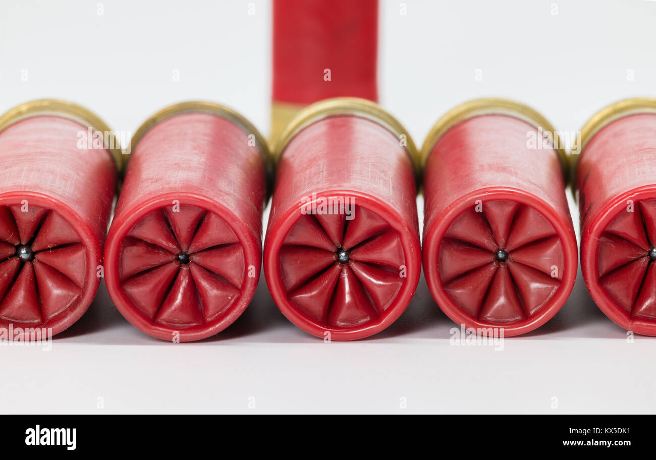 Shot BB seen in the midle of a crimp on 12 gauge shotgun shells Stock