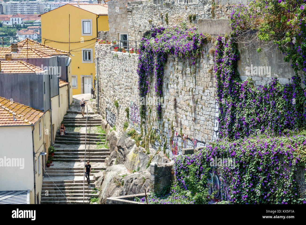 Porto Portugal,Barrio La Ribeira,historic center,city wall,Escadas das Verdades,Stairs of the Truths,buildings,skyline,hillside,flowers,residences,His Stock Photo
