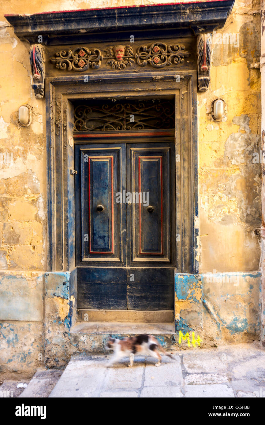 Old door and cat Valletta, european capital of culture in 2018, Malta, Europe Stock Photo