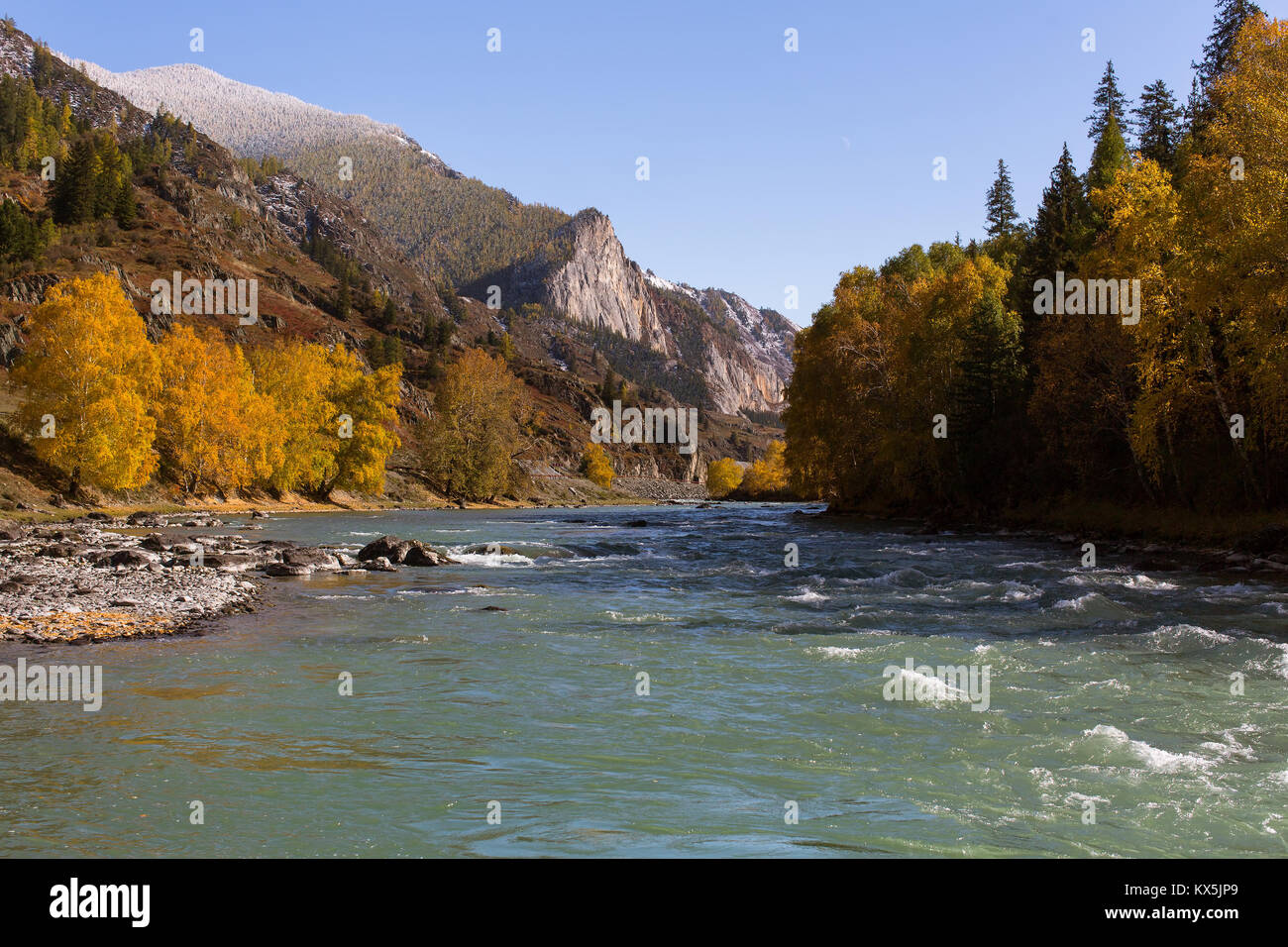 Katun River, Altai Republic, Russia. Stock Photo
